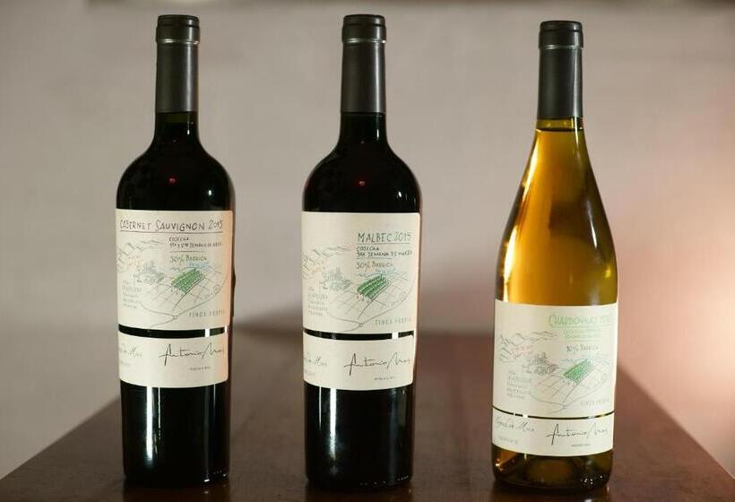 Апартаменты Дюплекс 1 Спальня, Cepas De Mar Resort & Wine