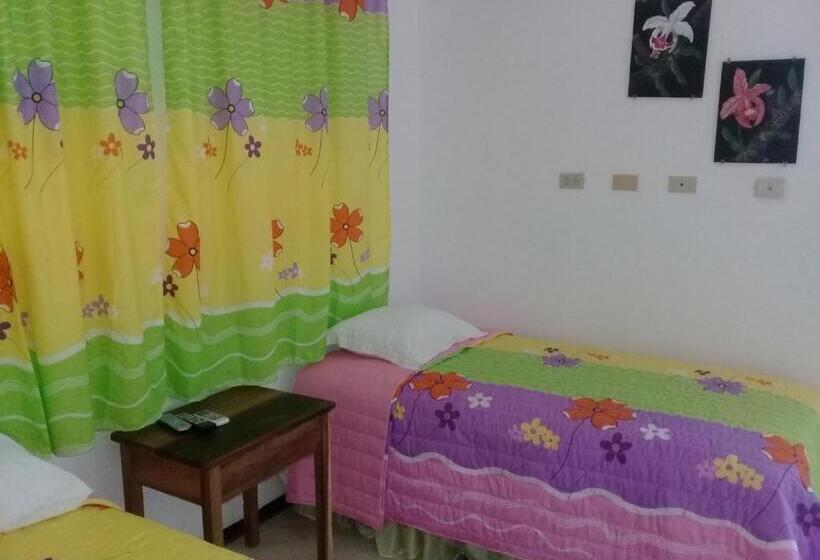 اتاق سوپریور, Hostel Quintonido