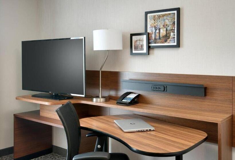 标准间, Fairfield Inn & Suites By Marriott Springfield North