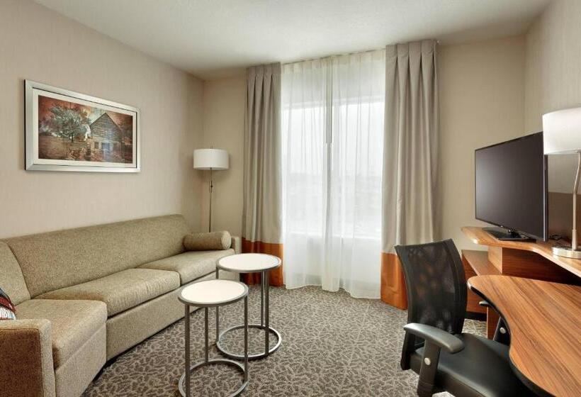 带大床的豪华间, Fairfield Inn & Suites By Marriott Springfield North
