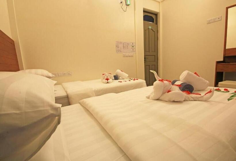 اتاق لوکس, Nemo Inn