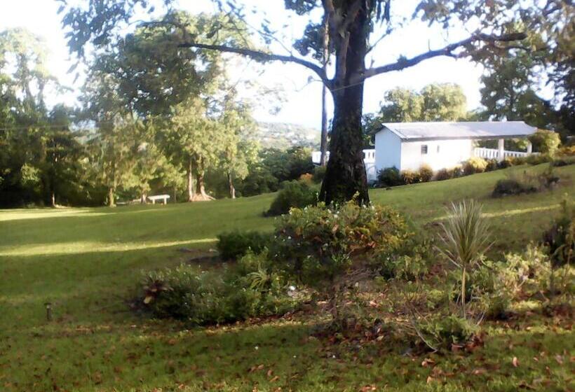 خانه 1 خوابه, Shotover Gardens Estate