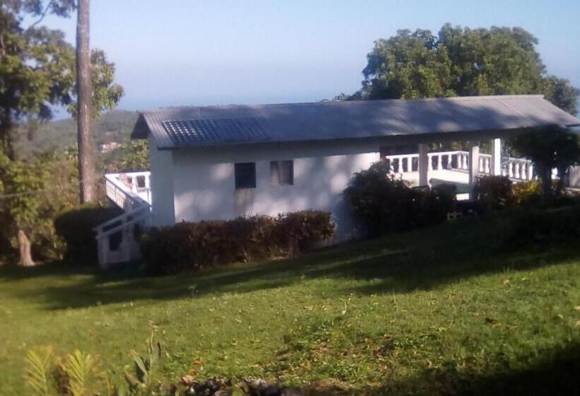 استودیوی استاندارد, Shotover Gardens Estate