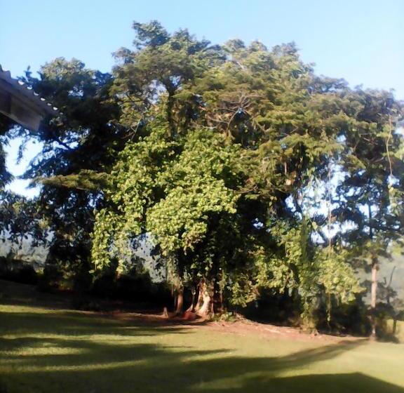 استودیوی استاندارد, Shotover Gardens Estate