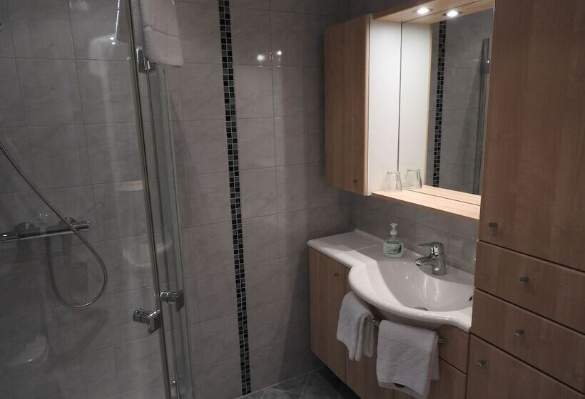Апартаменты 1 Спальня, Ertlschweigerhaus Pension   Appartements   Zimmer