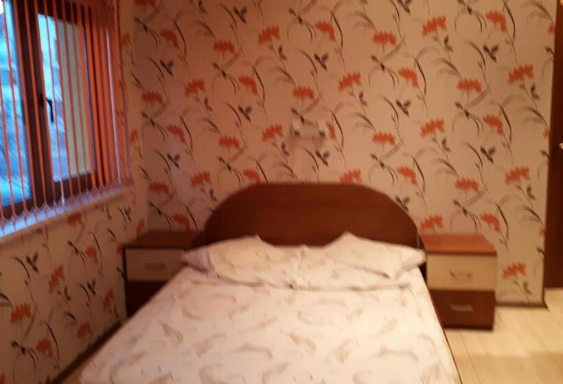 Номер Deluxe, Guest House Blisten