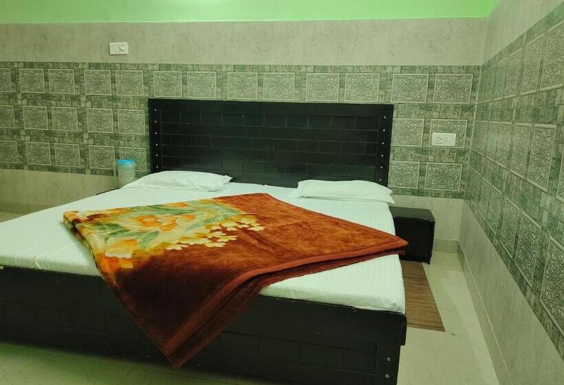 Номер Deluxe, Vidya Guest House