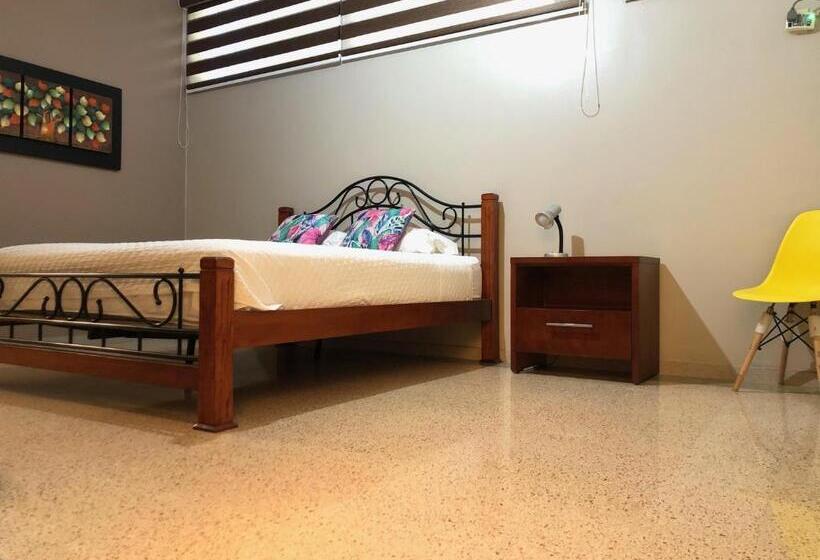 스탠다드 싱글 룸, Casa Canelos
