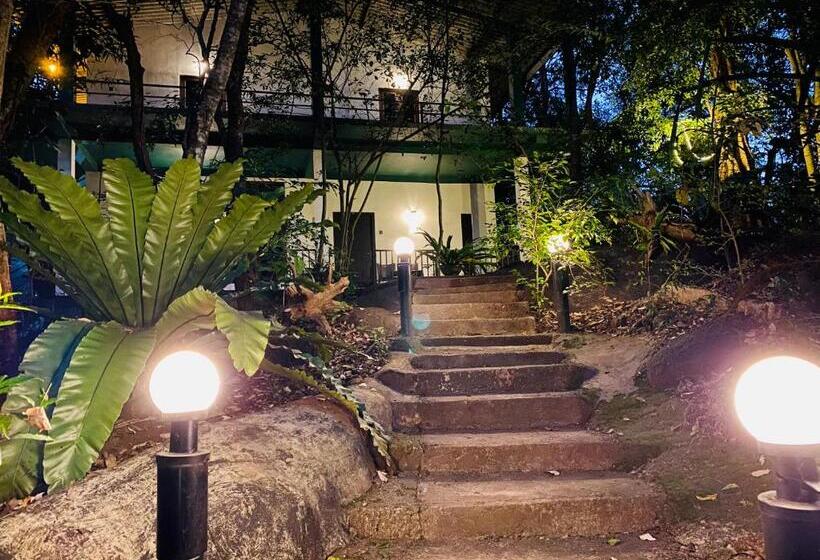 اتاق استاندارد با تراس, Green House Resort