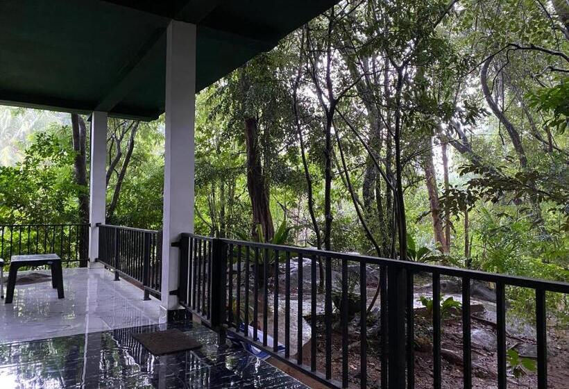اتاق استاندارد با تراس, Green House Resort