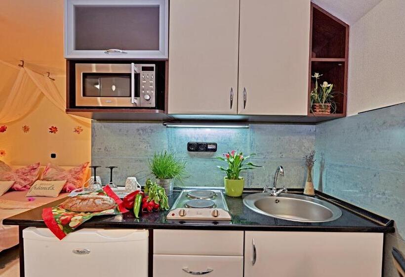 Апартаменты Deluxe 1 Спальня, Vintiamo Apartmanok