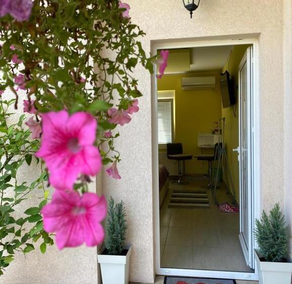 اتاق لوکس, Maslina Rooms