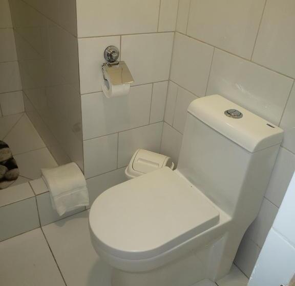 اتاق لوکس با تخت بزرگ, Hostal Illauca De Atacama