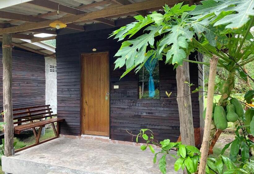 Номер Стандарт Вид на Сад, Pd Guesthouse