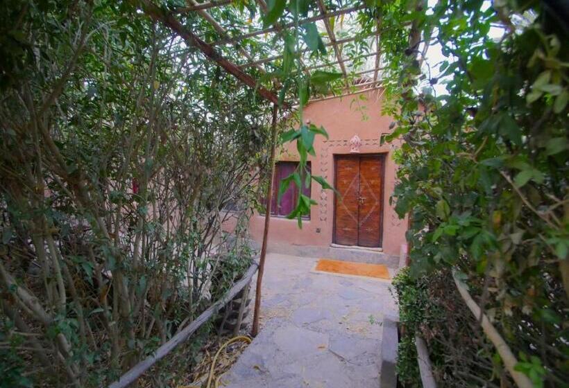 Номер Стандарт, Riad Tabhirte
