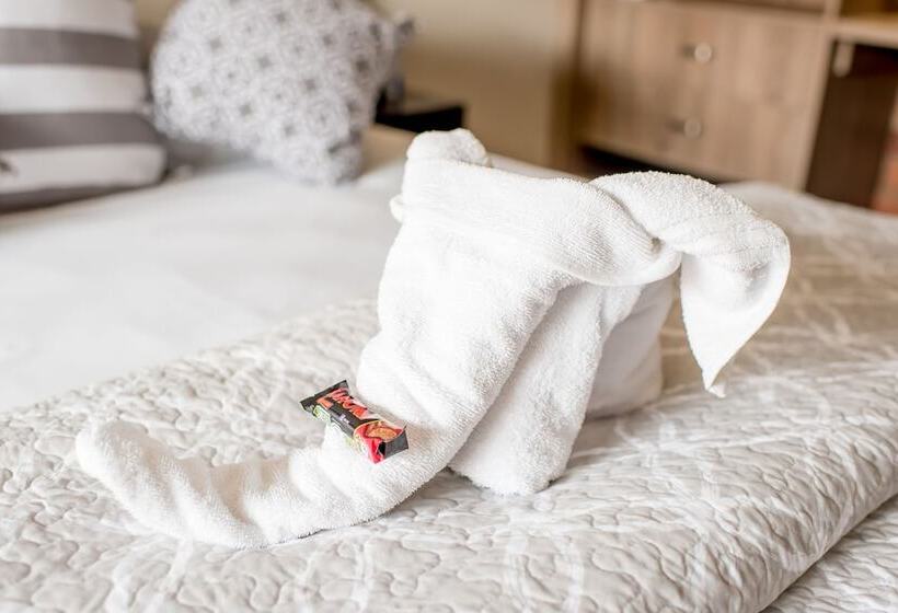 Номер Стандарт, 61 On Ireland Guest House