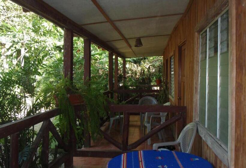 اتاق استاندارد سه نفره, Guest House Posada Ixchel