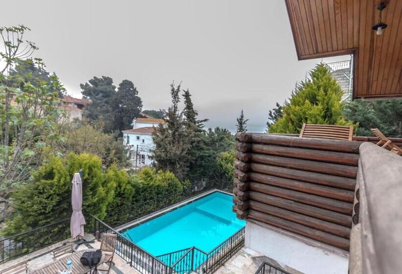 ویلای لوکس 1 خوابه, Büyükada Apart Hotel   Karadağ Apart