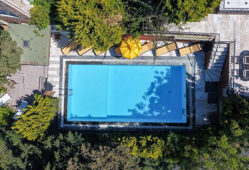 آپارتمان 1 خوابه با چشم‌انداز باغ, Büyükada Apart Hotel   Karadağ Apart