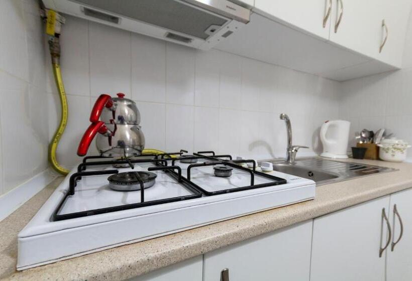 آپارتمان 1 خوابه با چشم‌انداز باغ, Büyükada Apart Hotel   Karadağ Apart