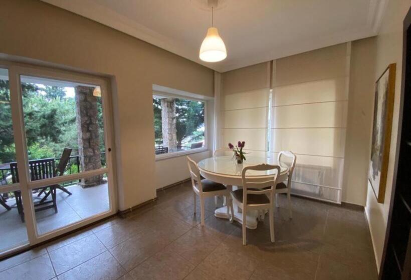 آپارتمان 1 خوابه با تراس, Büyükada Apart Hotel   Karadağ Apart