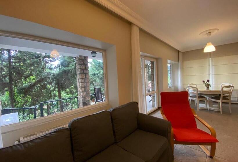 آپارتمان 1 خوابه با تراس, Büyükada Apart Hotel   Karadağ Apart