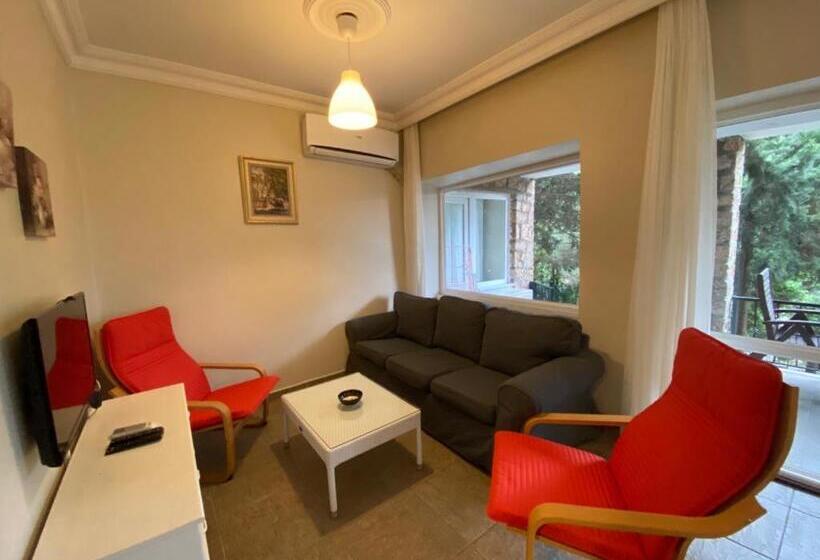 آپارتمان 1 خوابه با تراس, Büyükada Apart Hotel   Karadağ Apart