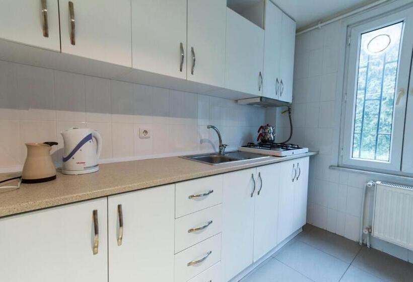 آپارتمان لوکس 1 خوابه, Büyükada Apart Hotel   Karadağ Apart