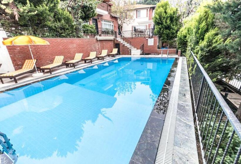 آپارتمان 1 خوابه با چشم‌انداز دریا, Büyükada Apart Hotel   Karadağ Apart