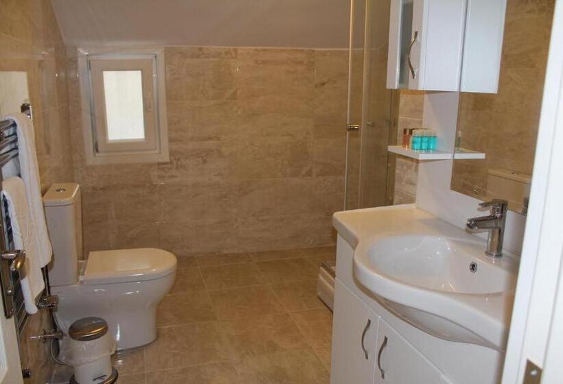 آپارتمان 1 خوابه با چشم‌انداز استخر, Büyükada Apart Hotel   Karadağ Apart
