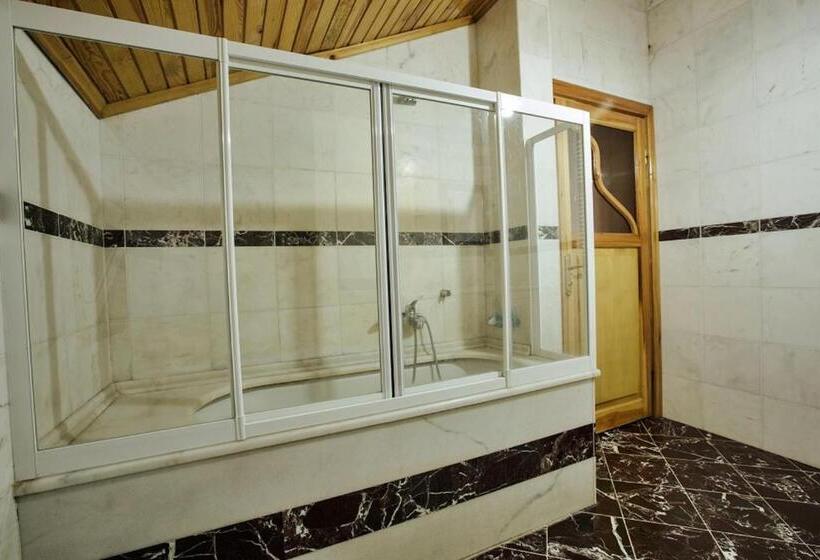 ویلای لوکس 1 خوابه, Büyükada Apart Hotel   Karadağ Apart