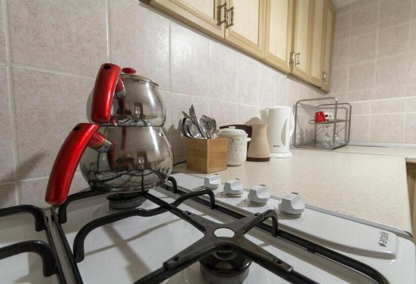 ویلای سوپریور 1 خوابه, Büyükada Apart Hotel   Karadağ Apart