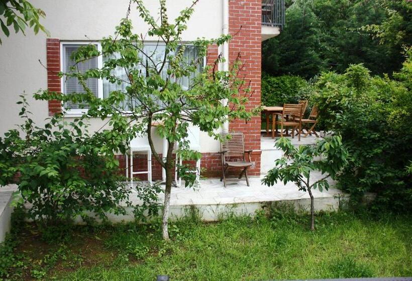 ویلای سوپریور 1 خوابه, Büyükada Apart Hotel   Karadağ Apart