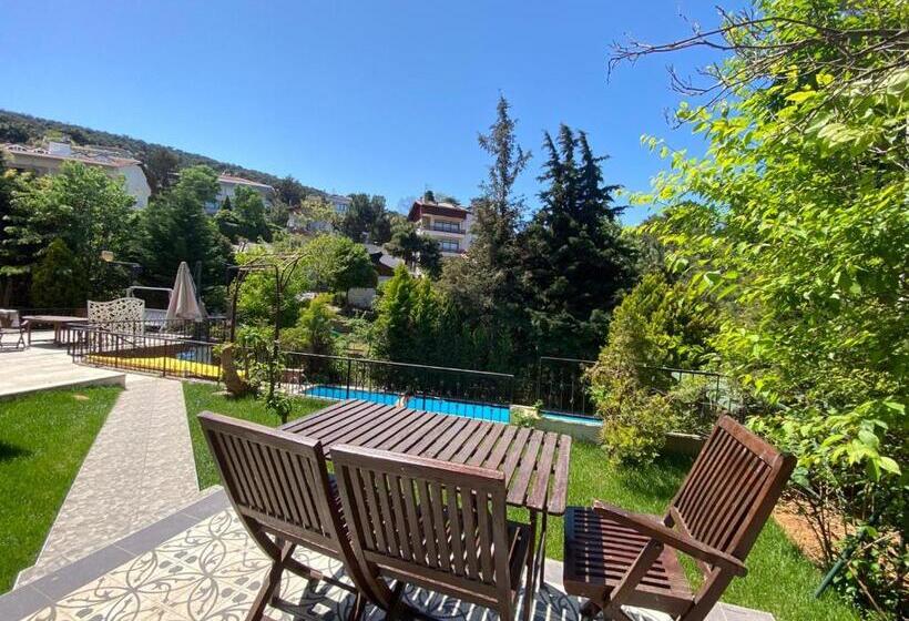 آپارتمان 1 خوابه با چشم‌انداز باغ, Büyükada Apart Hotel   Karadağ Apart