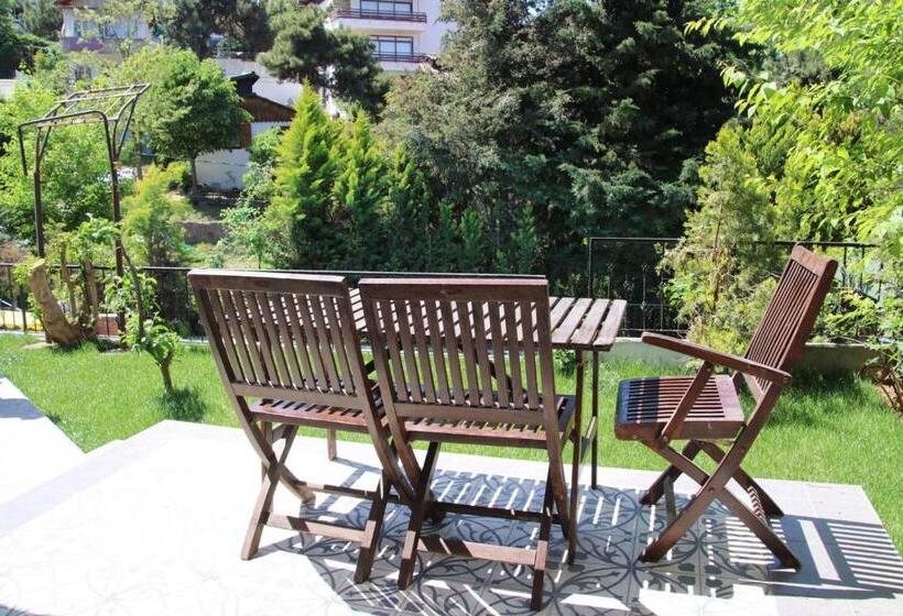 آپارتمان 1 خوابه با چشم‌انداز باغ, Büyükada Apart Hotel   Karadağ Apart