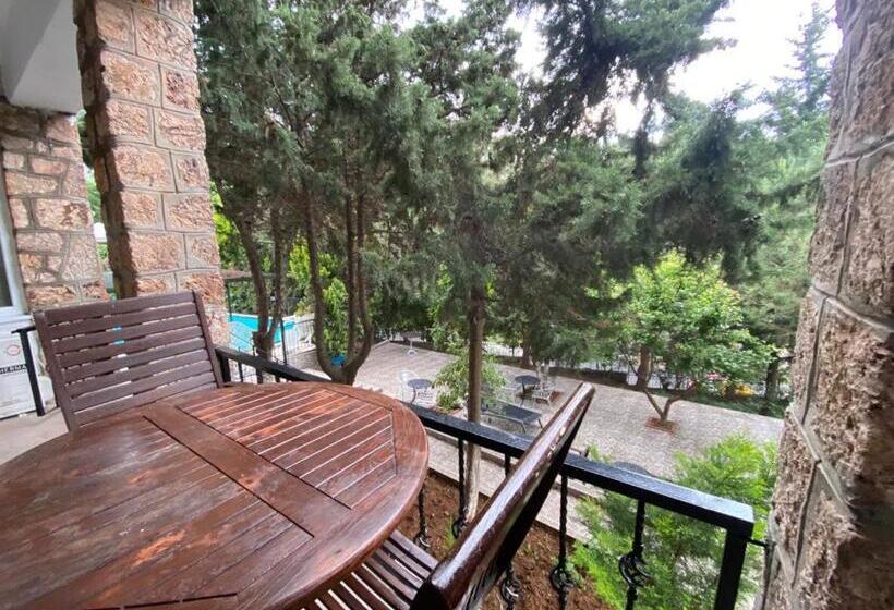 آپارتمان 1 خوابه با تراس, Büyükada Apart Hotel   Karadağ Apart
