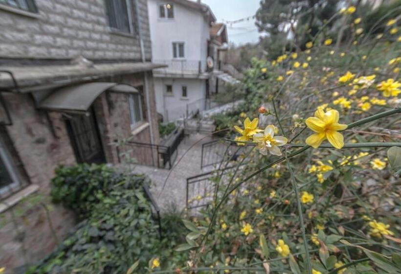 آپارتمان لوکس 1 خوابه, Büyükada Apart Hotel   Karadağ Apart