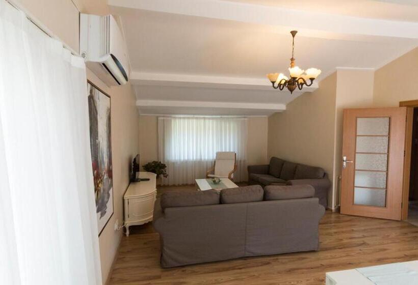 آپارتمان 1 خوابه با چشم‌انداز دریا, Büyükada Apart Hotel   Karadağ Apart