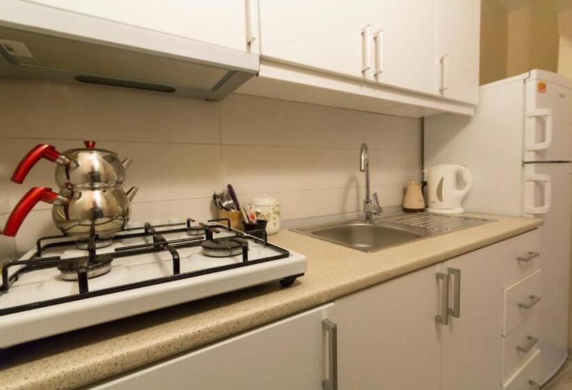 آپارتمان 1 خوابه با چشم‌انداز استخر, Büyükada Apart Hotel   Karadağ Apart