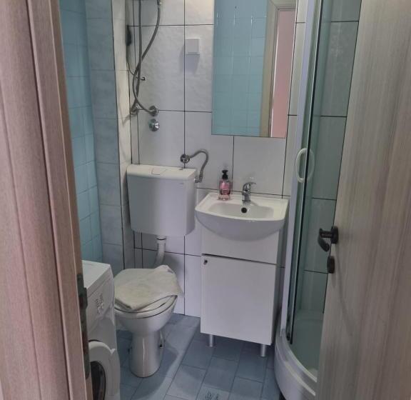 آپارتمان 1 خوابه با تراس, Guest House Damjana