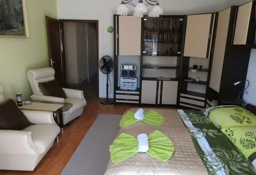 آپارتمان 1 خوابه با بالکن, Haus Gizella