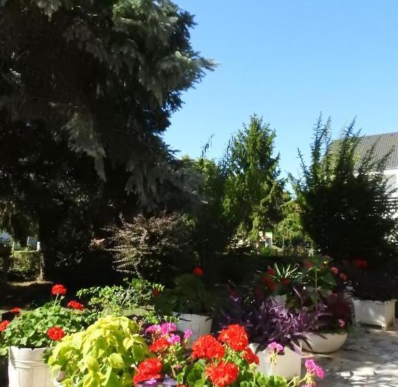 آپارتمان 1 خوابه با بالکن, Haus Gizella