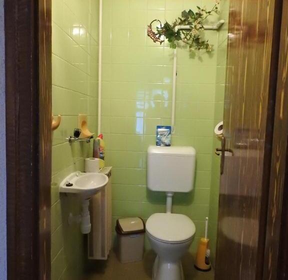 آپارتمان 1 خوابه با بالکن, Haus Gizella