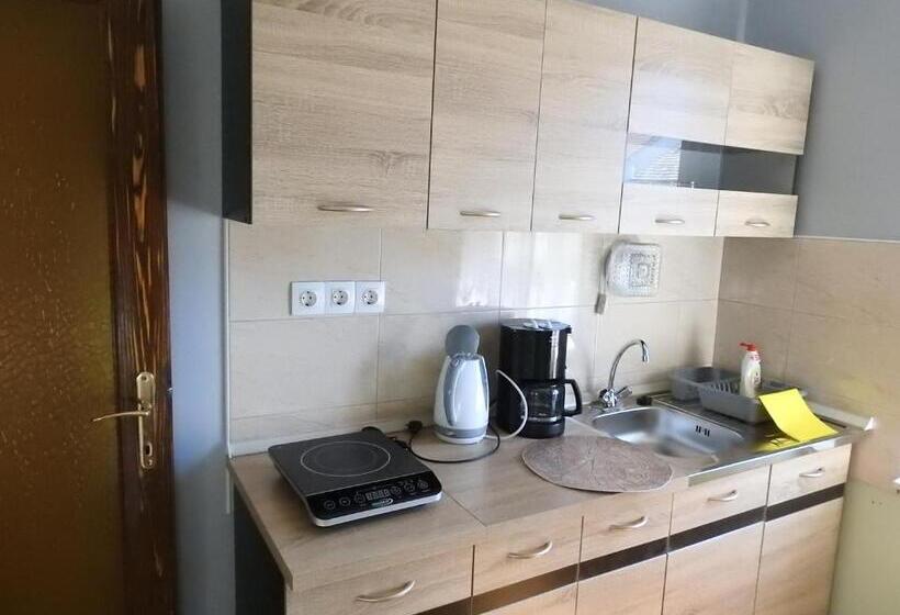 آپارتمان 1 خوابه با بالکن, Haus Gizella