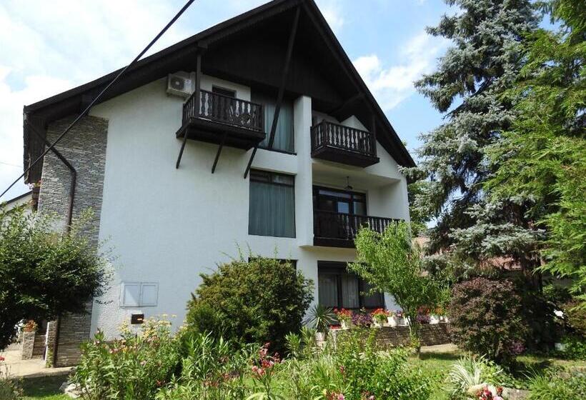 آپارتمان 1 خوابه با بالکن, Haus Gizella