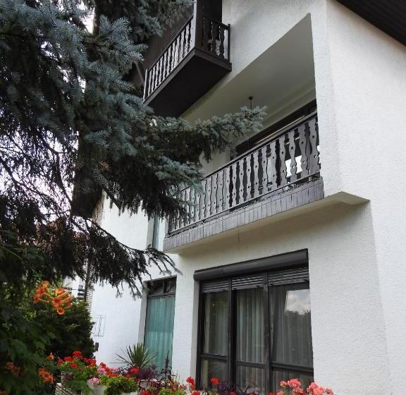اتاق لوکس, Haus Gizella