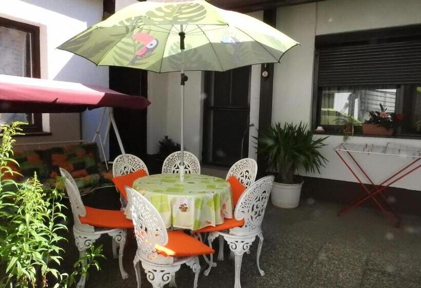 آپارتمان 1 خوابه همکف, Haus Gizella