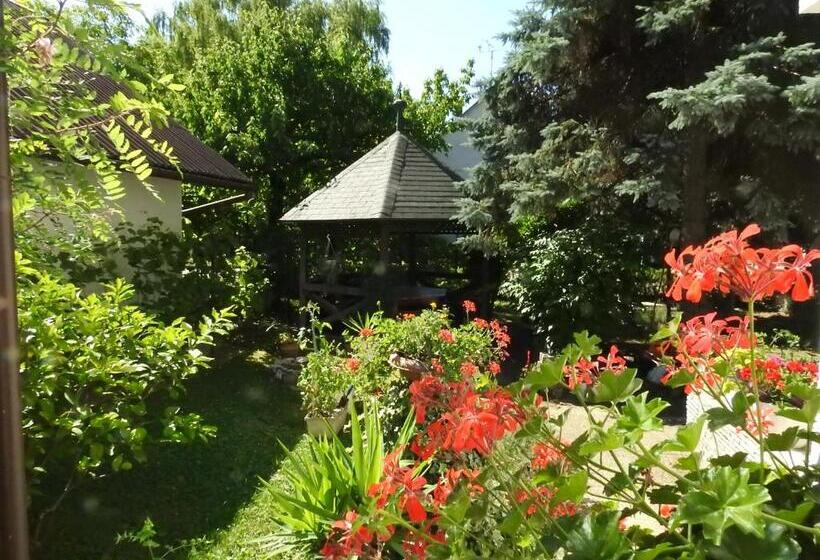 آپارتمان 1 خوابه همکف, Haus Gizella