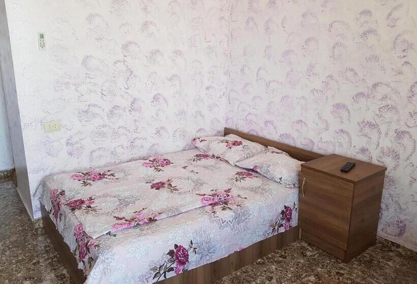 اتاق استاندارد سه تخته با بالکن, Vizitori