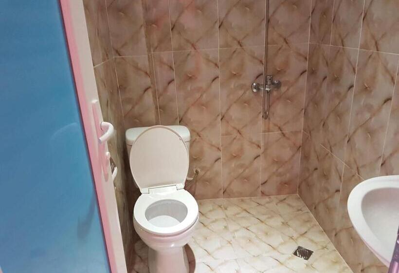 اتاق استاندارد چهارنفره با بالکن, Vizitori